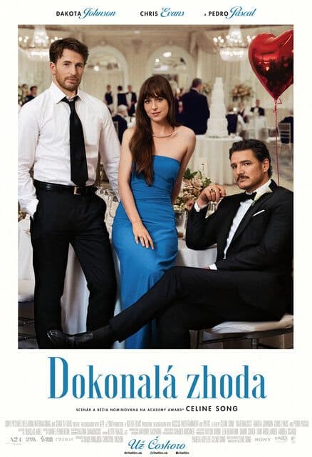 Dokonalá shoda